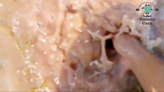 Membersihkan Hewan Buaya, Kuda, Sapi, Banteng, Singa, Zebra, Kambing, Gajah