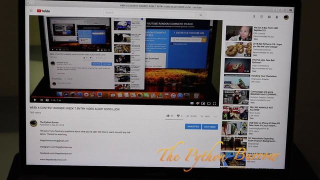 WEEK 7 CONTEST WINNER!! WEEK 8 ENTRY VIDEO ALSO!! GOOD LUCK! смотреть онлайн