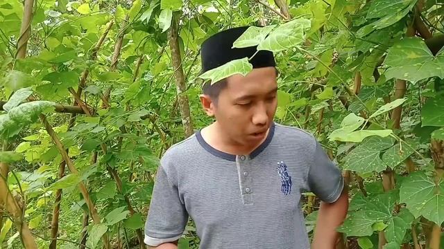 TERPAK54 4KU L4Y4NI 4N4K T1R1KU SETI4P HARI смотреть онлайн