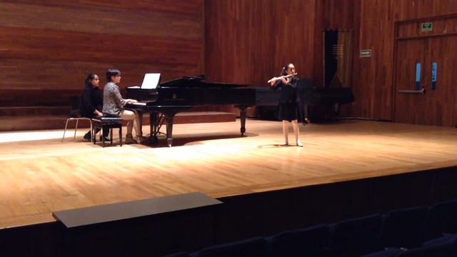 Melanie Michelle, Sonata para Flauta, Gaetano Donizetti. смотреть онлайн