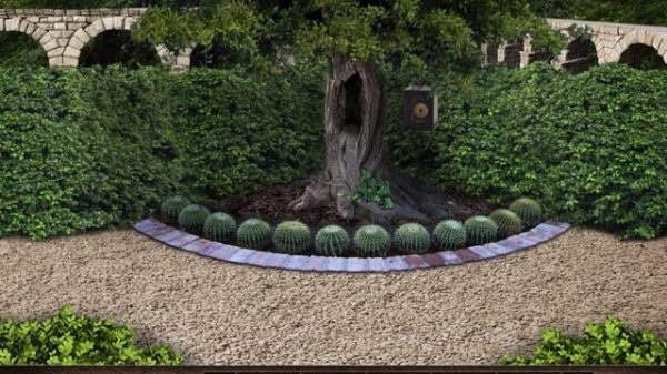 The Enchanted Worlds - Walkthrough