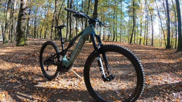 SPECIALIZED LEVO FSR EXPERT CARBON 2020 смотреть онлайн