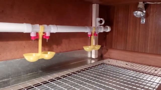 Брудер своими руками из шкафа) смотреть онлайн