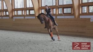 Школа верховой езды КСК Звездный