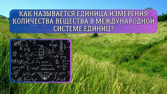 ТЕСТ на эрудицию и общие знания смотреть онлайн