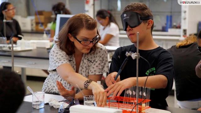 Видеоурок для классного часа Международный день слепых смотреть онлайн