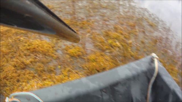 Охота на гуся Карелия Осень 2016 смотреть онлайн