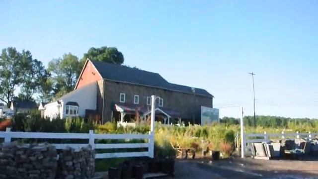 Betula Nigra Doylestown Pa смотреть онлайн