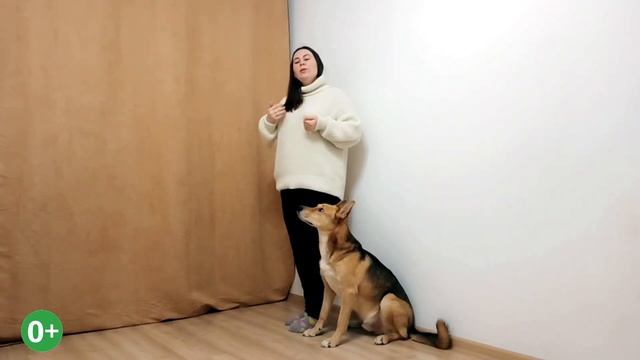 Команда Змейка. Как научить собаку трюку Змейка смотреть онлайн