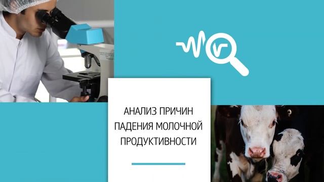 "Онлайн-ферма" - современное решение для молочных хозяйств смотреть онлайн