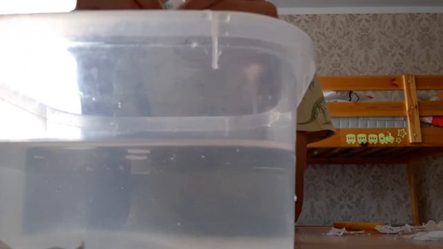 Что будет с селикогелем, если его поместить в воду смотреть онлайн