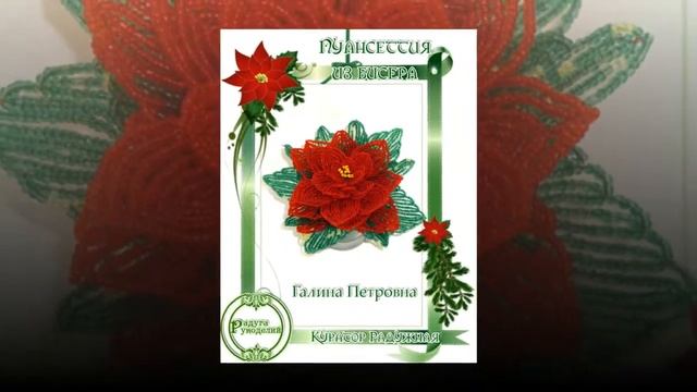 Галерея выпускников "Пуансеттия из бисера" смотреть онлайн