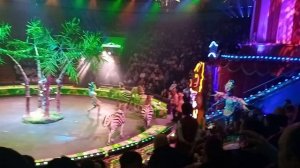 Цирковое представление (эпизод 4)