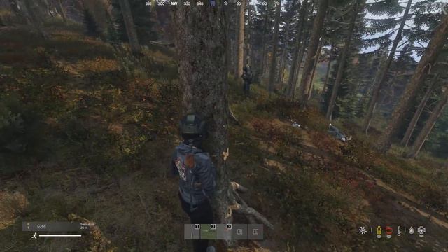 DayZ Gives me Trust Issues смотреть онлайн