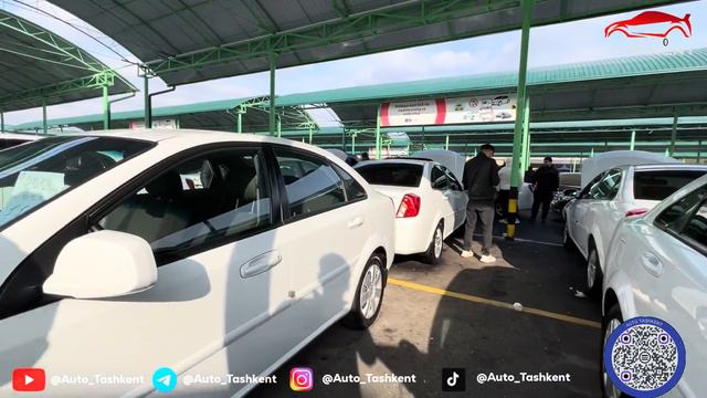 MARAT AKADAN JENTRA NARXLARI 2024 SERGELI MOSHINA BOZORI ARZON JENTRA NARXLARI MARAT AKA