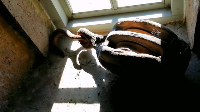 На крыльях ветра. #ветрянаямельница #Латвия #Арайши смотреть онлайн