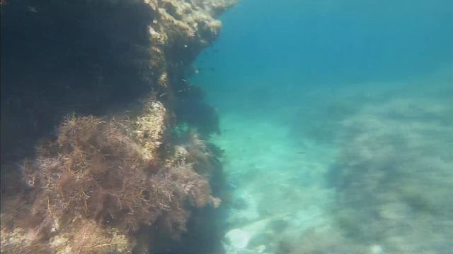 КОСА БЕЛЯУС /2020 г смотреть онлайн