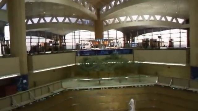 A short walk in Riyadh airport duty free shops смотреть онлайн