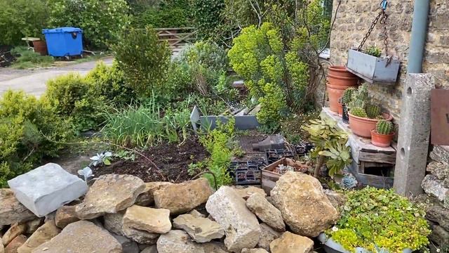Top tips for planting pelargoniums in a pot garden. смотреть онлайн