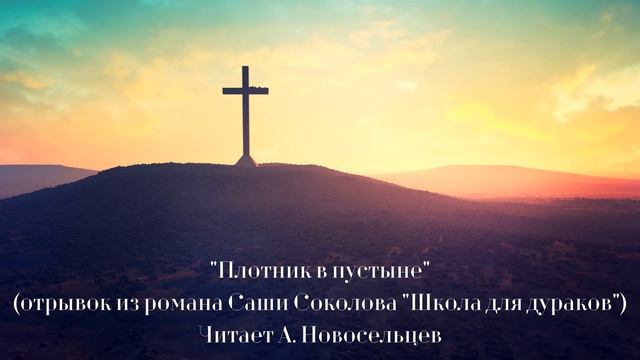 Плотник в пустыне. Отрывок из романа Саши Соколова "Школа для дураков". читает А. Новосельцев смотреть онлайн