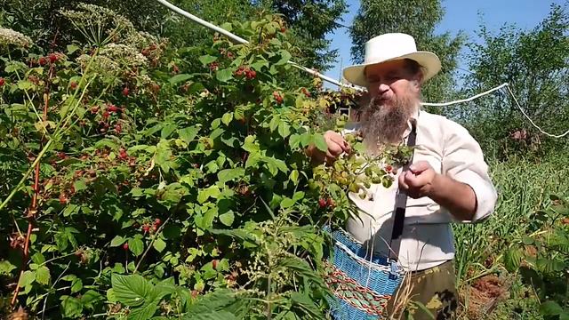Чем мы можем ответить на "захват" Софии смотреть онлайн