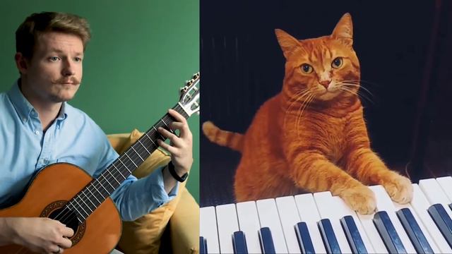 Piano Cat - Котик Пианист смотреть онлайн