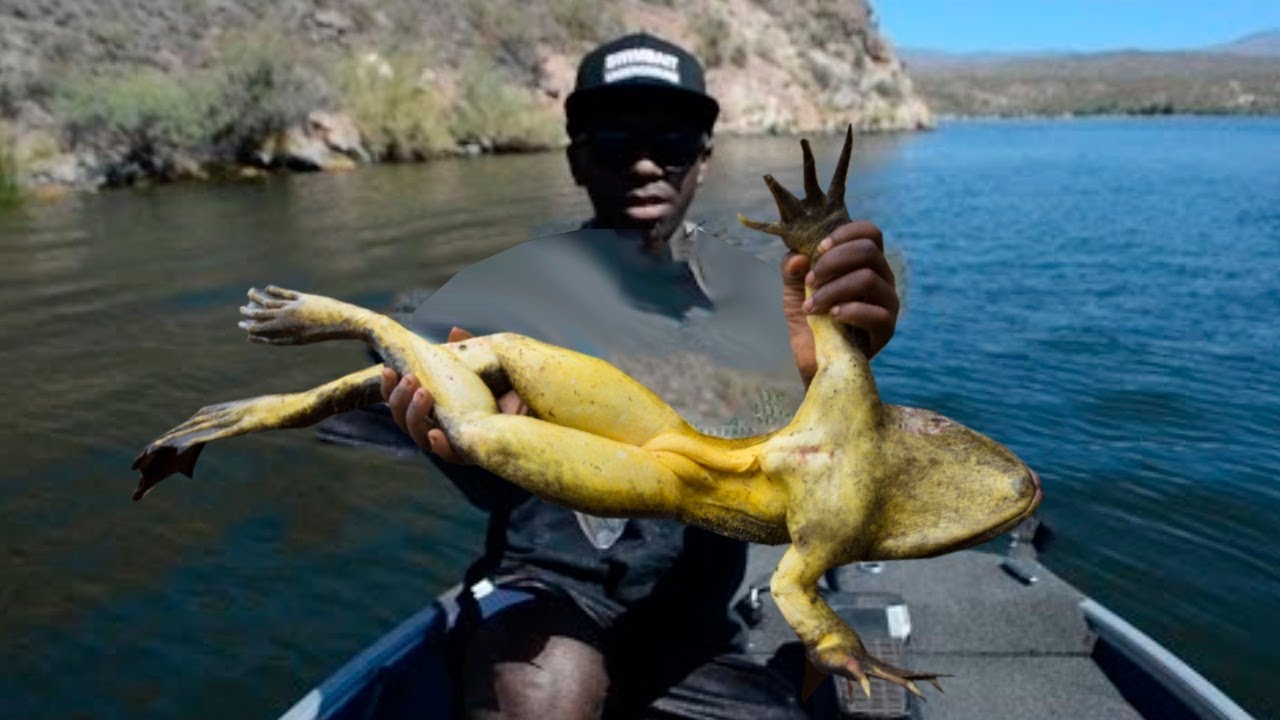 Самые Гигантские Животные, о Существовании Которых Вы не Знали смотреть онлайн