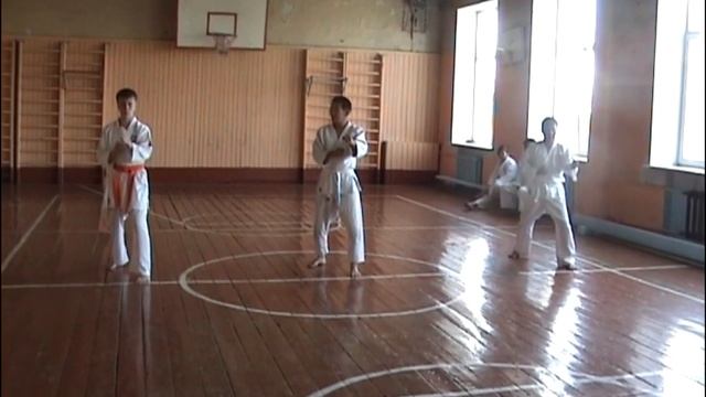 УТС-2012. Аттестация сито-рю каратэ-до смотреть онлайн