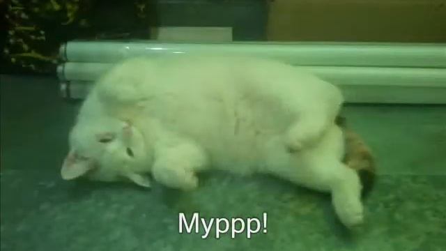 Видеоклип про Марусю! смотреть онлайн