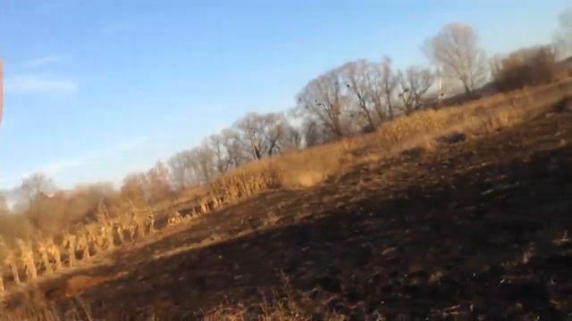 Решил перед своим днем рождением пойти клад найти смотреть онлайн