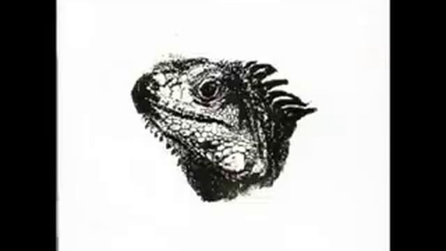 Mauro Picotto-Iguana(better Version)