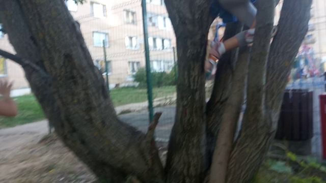 VID_20240915_175312.mp4 смотреть онлайн