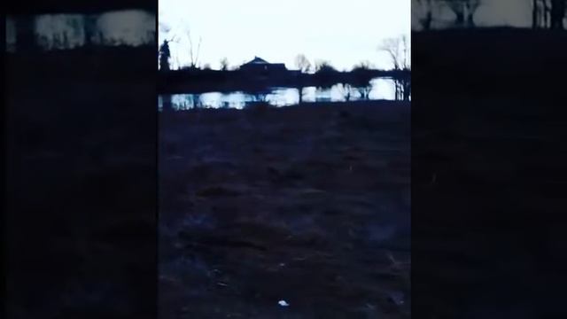 Половодье. Разлив Клязьмы. Мама начинающий видеоблогер смотреть онлайн