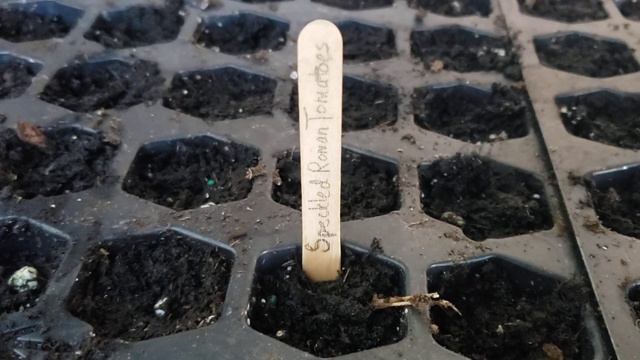 Fall Garden Planning and Seed Starting Begins смотреть онлайн