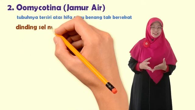 Protista mirip jamur смотреть онлайн