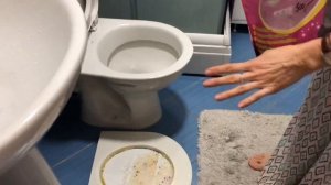 КАК ПРИУЧИТЬ КОТА К УНИТАЗУ ?