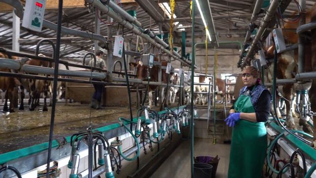 Петродолинська молочна ферма смотреть онлайн