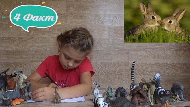 Изучаем диких животных с детьми Заяц Интересные факты о зайцах смотреть онлайн