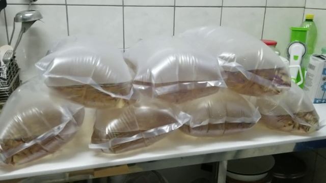 Отправляем рыбу! #1 смотреть онлайн