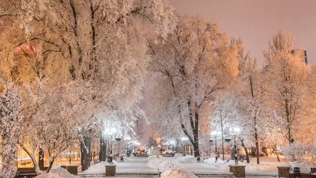 Чертог волка 25 февраля — 22 марта Круг Сварога гороскоп Русских смотреть онлайн
