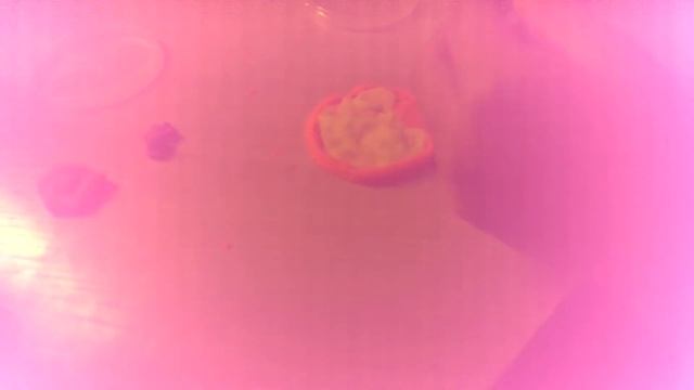 Гатовим птицу из пластилина смотреть онлайн