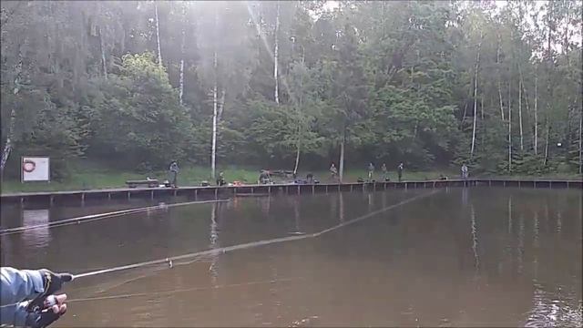 Поимки форели на спиннинг. В приоритете блёсны. Спорт-зона. Клёвое место Лосиный остров. смотреть онлайн