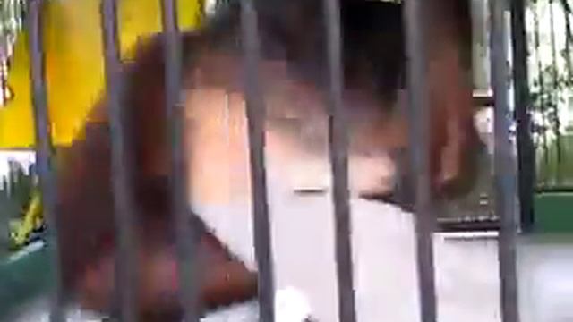 Украл футболку смотреть онлайн