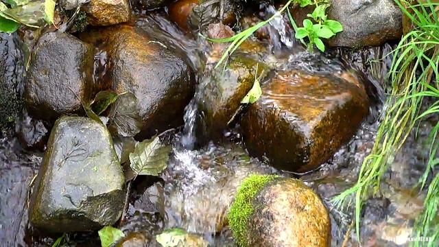 РУЧЕЙ. ЖУРЧАНИЕ. Слушать 2 часа. «Дыхание» воды — лучшая колыбельная смотреть онлайн