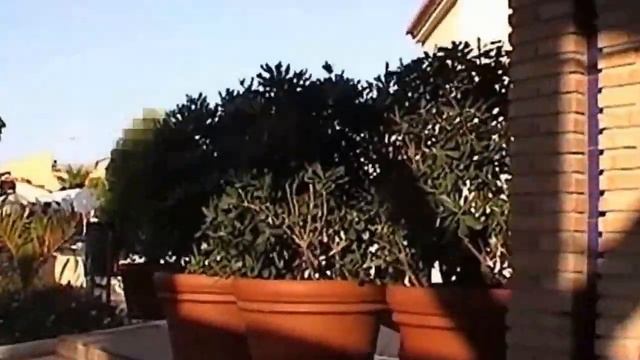 JVC GR DF540E CAMCORDER TEST смотреть онлайн