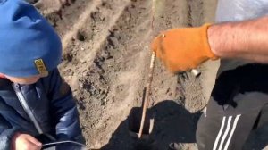 Картофелесажалка ручная самодельная . Жизнь в селе Казахстана.