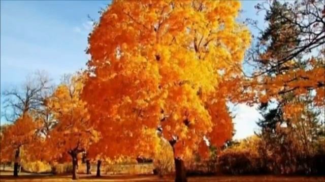 Вот и осень и улетают птицы...последний журавлиный клин смотреть онлайн