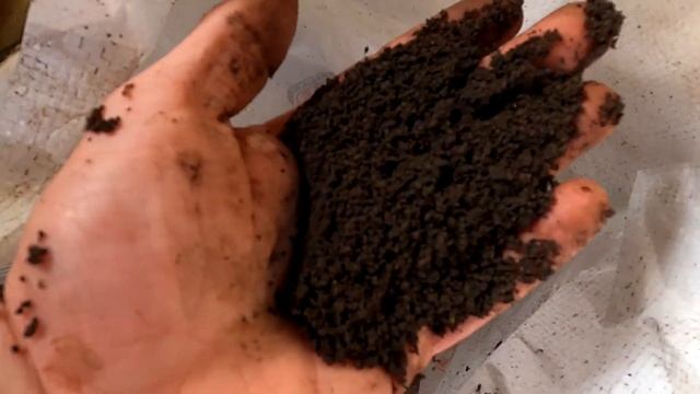Compostage Broyat / BRF : Faire terreau à semis ou Fertiliser le jardin potager en permaculture смотреть онлайн