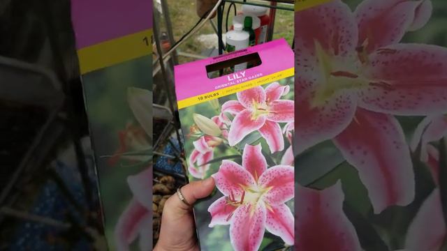Quick 2022 Sam's Club Garden Haul смотреть онлайн