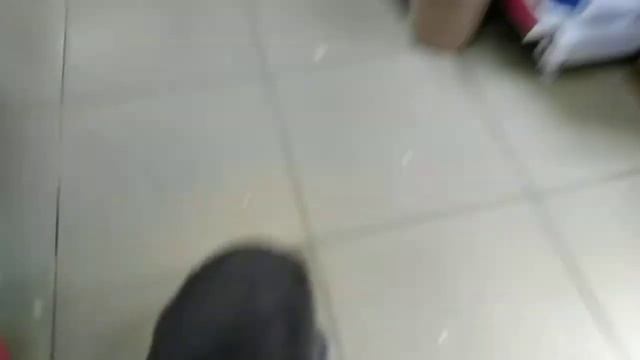 Большой заяц . Я в зоо магазине